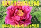 ���ֹ�,�����󷨵��ӹ������編�ִ�����ʦ�𻪵�(24��)
