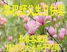 ���ֹ�,�����󷨵��ӹ������編�ִ�����ʦ�𻪵�(24��)
