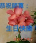 ���ֹ�,�����󷨵��ӹ������編�ִ�����ʦ�𻪵�(26��)
