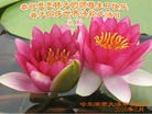 ���ֹ�,�������󷨵��ӹ������編�ִ�����ʦ�𻪵�(23��)
