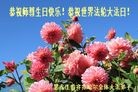 ���ֹ�,��������󷨵��ӹ������編�ִ�����ʦ�𻪵�(23��)
