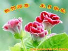 ���ֹ�,����ʡ�󷨵��ӹ������編�ִ�����ʦ�𻪵�(24��)
