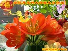 ���ֹ�,����ʡ�󷨵��ӹ������編�ִ�����ʦ�𻪵�(23��)
