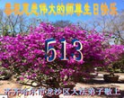���ֹ�,��������󷨵��ӹ������編�ִ�����ʦ�𻪵�(23��)
