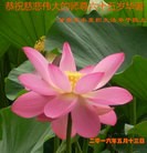 ���ֹ�,����󷨵��ӹ������編�ִ�����ʦ�𻪵�(26��)
