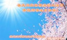 ���ֹ�,�����󷨵��ӹ������編�ִ�����ʦ�𻪵�(24��)
