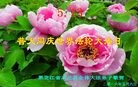 ���ֹ�,�������󷨵��ӹ������編�ִ�����ʦ�𻪵�(23��)
