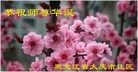 ���ֹ�,����󷨵��ӹ������編�ִ�����ʦ�𻪵�(23��)
