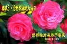 ���ֹ�,�ӱ��󷨵��ӹ������編�ִ�����ʦ�𻪵�(24��)
