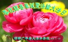 ���ֹ�,�ӱ��󷨵��ӹ������編�ִ�����ʦ�𻪵�(24��)
