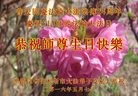 ���ֹ�,��ľ˹�󷨵��ӹ������編�ִ�����ʦ�𻪵�(20��)
