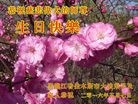 ���ֹ�,��ľ˹�󷨵��ӹ������編�ִ�����ʦ�𻪵�(20��)
