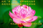 ���ֹ�,��ɽ�󷨵��ӹ������編�ִ�����ʦ�𻪵�(26��)
