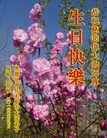 ���ֹ�,��ľ˹�󷨵��ӹ������編�ִ�����ʦ�𻪵�(24��)
