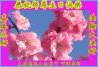���ֹ�,����󷨵��ӹ������編�ִ�����ʦ�𻪵�(25��)
