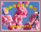 ���ֹ�,����󷨵��ӹ������編�ִ�����ʦ�𻪵�(25��)
