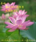 ���ֹ�,��ɽ�󷨵��ӹ������編�ִ�����ʦ�𻪵�(26��)