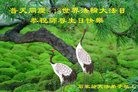 ���ֹ�,ʯ��ׯ�󷨵��ӹ������編�ִ�����ʦ�𻪵�(25��)