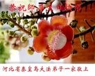 ���ֹ�,�ػʵ��󷨵��ӹ������編�ִ�����ʦ�𻪵�(21��)