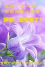 ���ֹ�,�����д󷨵��ӹ������編�ִ�����ʦ�𻪵�(21��)