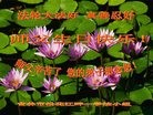 ���ֹ�,�����д󷨵��ӹ������編�ִ�����ʦ�𻪵�(21��)