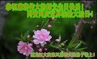 ���ֹ�,����󷨵��ӹ������編�ִ�����ʦ�𻪵�(18��)