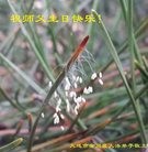 ���ֹ�,�����󷨵��ӹ������編�ִ�����ʦ�𻪵�(20��)