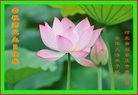 ���ֹ�,ʯ��ׯ�󷨵��ӹ������編�ִ�����ʦ�𻪵�(25��)