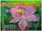 ���ֹ�,�����󷨵��ӹ������編�ִ�����ʦ�𻪵�(21��)