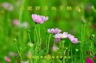 ���ֹ�,�ȷ��󷨵��ӹ������編�ִ�����ʦ�𻪵�(25��)