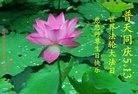 ���ֹ�,�����д󷨵��ӹ������編�ִ�����ʦ�𻪵�(21��)