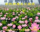 ���ֹ�,�żҿڴ󷨵��ӹ������編�ִ�����ʦ�𻪵�(22��)