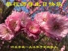 ���ֹ�,�żҿڴ󷨵��ӹ������編�ִ�����ʦ�𻪵�(22��)