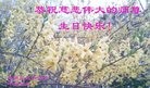 ���ֹ�,�ػʵ��󷨵��ӹ������編�ִ�����ʦ�𻪵�(23��)