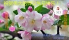 ���ֹ�,�ȷ��󷨵��ӹ������編�ִ�����ʦ�𻪵�(25��)