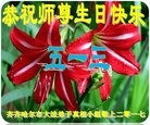 ���ֹ�,��������󷨵��ӹ������編�ִ�����ʦ�𻪵�(20��)