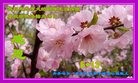 ���ֹ�,��������󷨵��ӹ������編�ִ�����ʦ�𻪵�(20��)