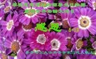 ���ֹ�,��������󷨵��ӹ������編�ִ�����ʦ�𻪵�(20��)