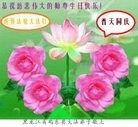 ���ֹ�,�����󷨵��ӹ������編�ִ�����ʦ�𻪵�(24��)