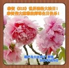 ���ֹ�,��«���󷨵��ӹ������編�ִ�����ʦ�𻪵�(20��)