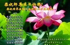 ���ֹ�,�ػʵ��󷨵��ӹ������編�ִ�����ʦ�𻪵�(23��)