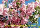 ���ֹ�,����󷨵��ӹ������編�ִ�����ʦ�𻪵�(29��)