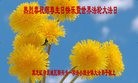 ���ֹ�,�������󷨵��ӹ������編�ִ�����ʦ�𻪵�(20��)