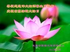 ���ֹ�,�����󷨵��ӹ������編�ִ�����ʦ�𻪵�(23��)