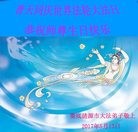 ���ֹ�,���ϴ󷨵��ӹ������編�ִ�����ʦ�𻪵�(25��)