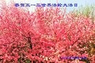 ���ֹ�,�������󷨵��ӹ������編�ִ�����ʦ�𻪵�(27��)