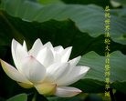 ���ֹ�,����ʡ�󷨵��ӹ������編�ִ�����ʦ�𻪵�(26��)