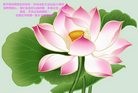���ֹ�,ʯ��ׯ�󷨵��ӹ������編�ִ�����ʦ�𻪵�(25��)