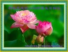 ���ֹ�,ʯ��ׯ�󷨵��ӹ������編�ִ�����ʦ�𻪵�(25��)
