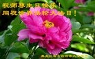 ���ֹ�,�������󷨵��ӹ������編�ִ�����ʦ�𻪵�(27��)